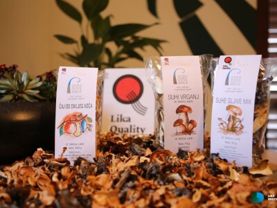 Obrt Golac - prerada gljiva i divljeg voća