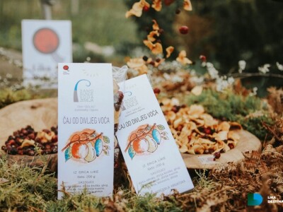 Obrt Golac - prerada gljiva i divljeg voća