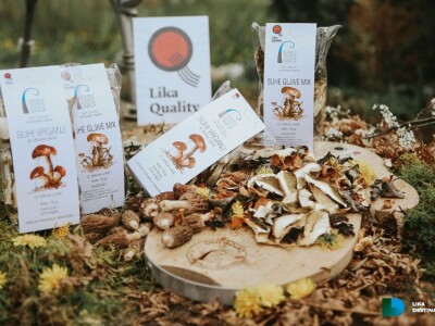 Obrt Golac - prerada gljiva i divljeg voća