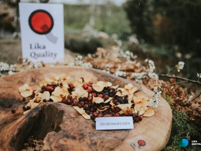 Obrt Golac - prerada gljiva i divljeg voća