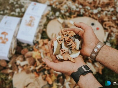 Obrt Golac - prerada gljiva i divljeg voća