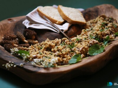 Obrt Golac - prerada gljiva i divljeg voća