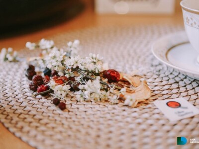 Obrt Golac - prerada gljiva i divljeg voća