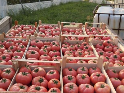 Obrt "Muslić" Visoko