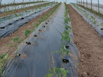 Obrt "Muslić" Visoko