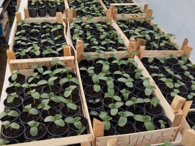 Obrt "Muslić" Visoko