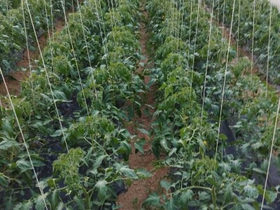 Obrt "Muslić" Visoko