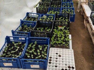 Obrt "Muslić" Visoko