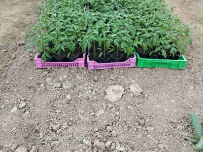 Obrt "Muslić" Visoko