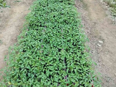 Obrt "Muslić" Visoko