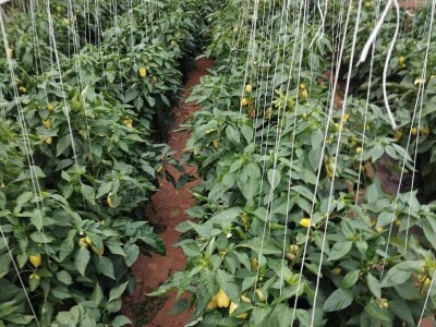 Obrt "Muslić" Visoko