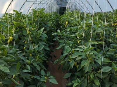 Obrt "Muslić" Visoko