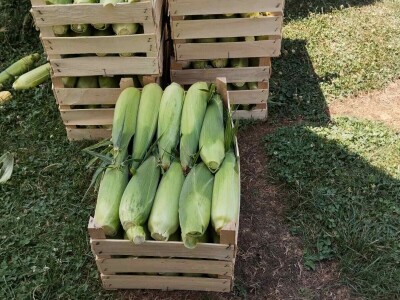 Obrt "Muslić" Visoko