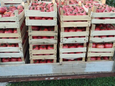 Obrt "Muslić" Visoko