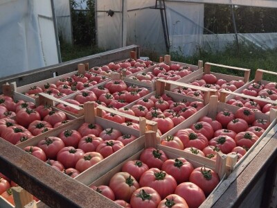 Obrt "Muslić" Visoko