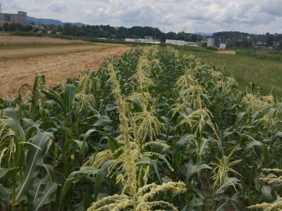 Obrt "Muslić" Visoko