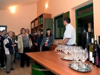 Obrt Vina otoka Paga