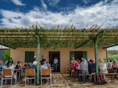 Obrt Vina otoka Paga