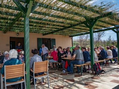 Obrt Vina otoka Paga