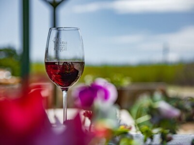 Obrt Vina otoka Paga