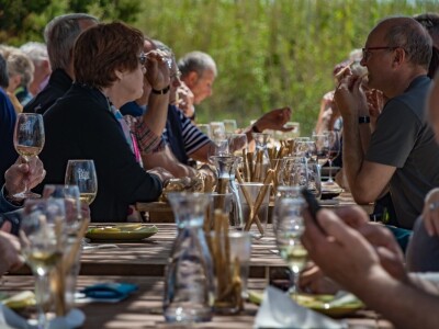 Obrt Vina otoka Paga