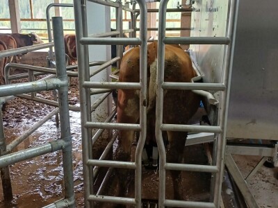 Obrt "Vujinović" na Vlašiću kod Travnika