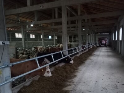 Obrt "Vujinović" na Vlašiću kod Travnika