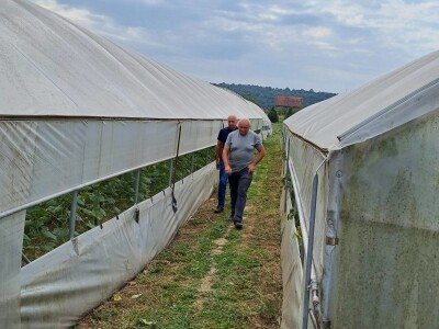 Obuka za proizvođače povrća Obuka za proizvođače povrća
