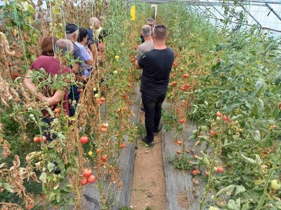 Obuka za proizvođače povrća Obuka za proizvođače povrća