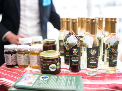 OBŽ Europskom parlamentu predstavila turističke potencijale županije