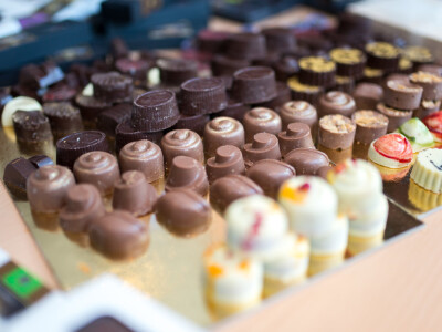 OBŽ Europskom parlamentu predstavila turističke potencijale županije