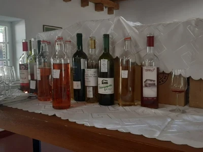 Ocenjivanje vina i rakija u Topoli, foto: M. Lazarević