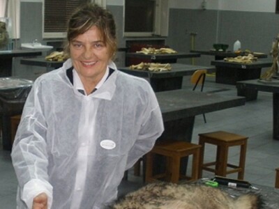 OČEVID ŠTETA OD VUKA U GOLUBIĆU - Šestogodišnji dječak prepoznao ugrize vuka na vratu usmrćenih koza!