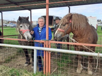 Ocijenjivanje pastuha - Popovača