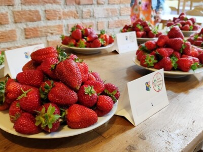 Ocjenjivanje jagoda 2022. Ocjenjivanje jagoda 2022.