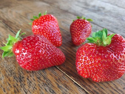 Ocjenjivanje jagoda 2022. Ocjenjivanje jagoda 2022.