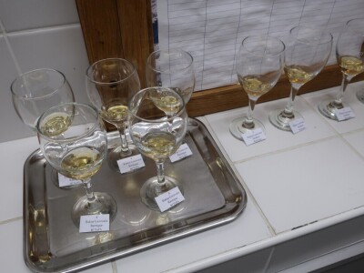 Ocjenjivanje rakije PTFOS