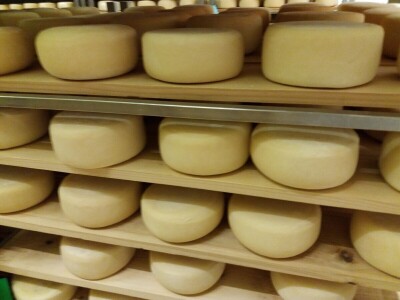 Ocjenjivanje sireva Ocjenjivanje sireva