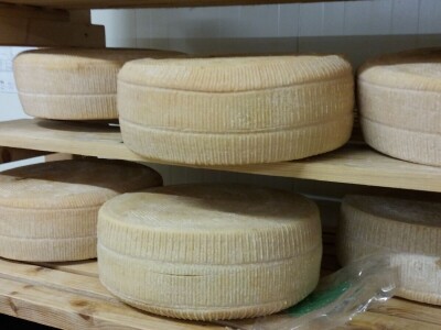 Ocjenjivanje sireva Ocjenjivanje sireva