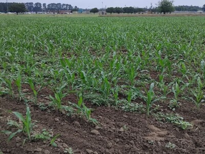 Očuvanje zemljišta u Sjevernoj Karolini Očuvanje zemljišta u Sjevernoj Karolini