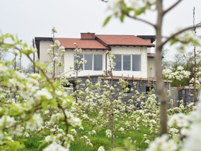 Od hobi voćnjaka do proizvodnje zdravih sokova i kraft piva: Kako je porodica Vrhovac ispunila svoj san