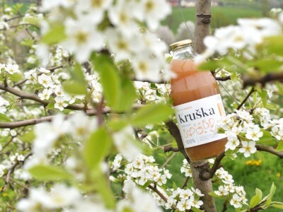 Od hobi voćnjaka do proizvodnje zdravih sokova i kraft piva: Kako je porodica Vrhovac ispunila svoj san