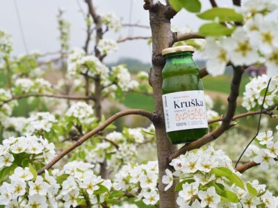 Od hobi voćnjaka do proizvodnje zdravih sokova i kraft piva: Kako je porodica Vrhovac ispunila svoj san