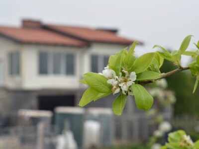 Od hobi voćnjaka do proizvodnje zdravih sokova i kraft piva: Kako je porodica Vrhovac ispunila svoj san