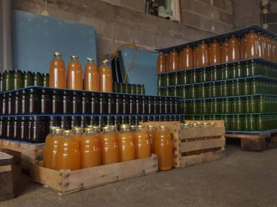 Od hobi voćnjaka do proizvodnje zdravih sokova i kraft piva: Kako je porodica Vrhovac ispunila svoj san