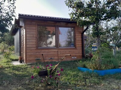 Od meda do terapije: Pčele donose i san i zdravlje