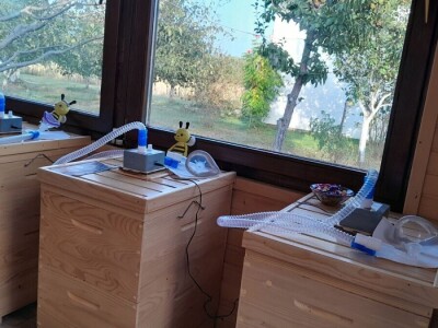 Od meda do terapije: Pčele donose i san i zdravlje