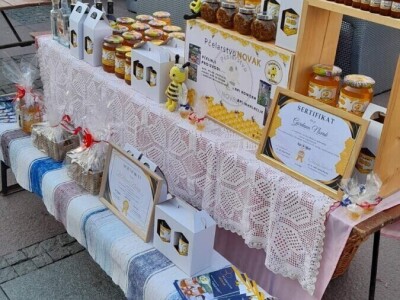 Od meda do terapije: Pčele donose i san i zdravlje