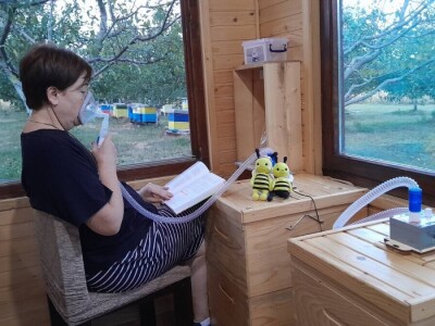 Od meda do terapije: Pčele donose i san i zdravlje