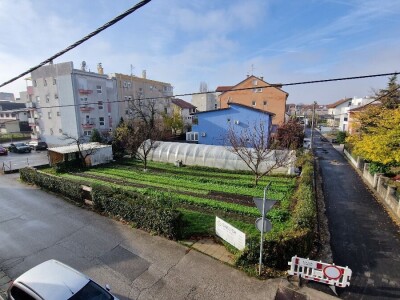 Od nesuđenog psihologa do urbanog poljoprivrednika